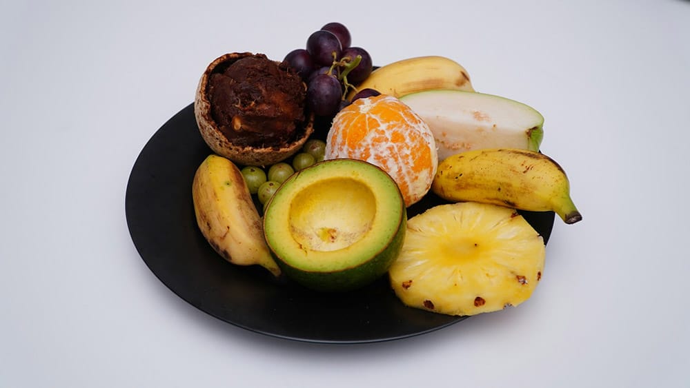 TDEE and Micronutrients: Why Calorie Counting Isn’t Enough for Optimal Health