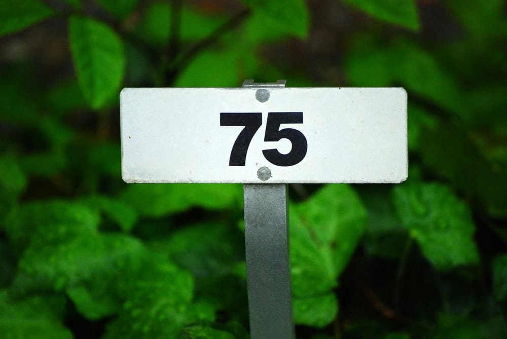 What Is the 75 Hard Challenge and Is It Actually Good for Weight Loss?